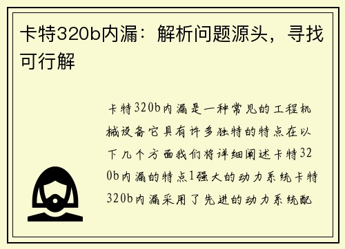 卡特320b内漏：解析问题源头，寻找可行解